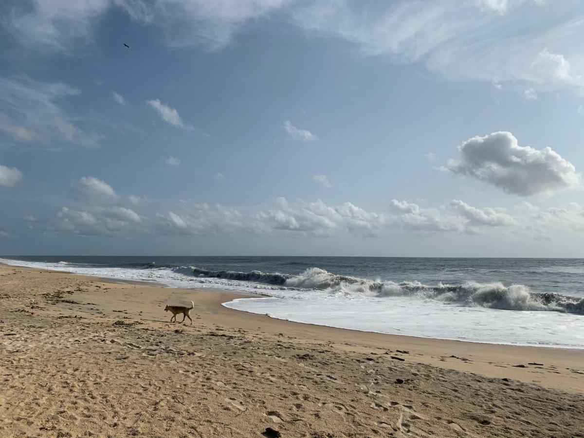 Peacock Villa Marari Beach ماراريكولام المظهر الخارجي الصورة
